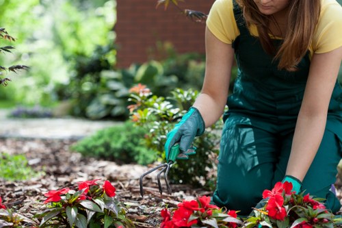 Professional landscaping team in West Ham