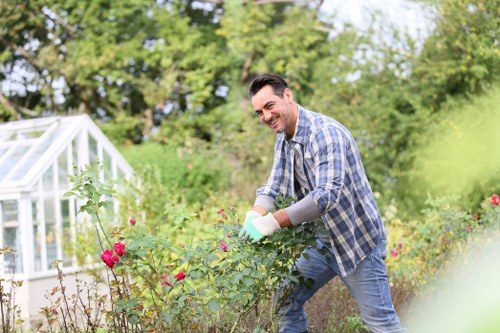 Variety of plants suitable for West Ham gardens