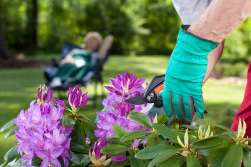 Satisfied homeowner admiring their cleared and revitalized garden in West Ham