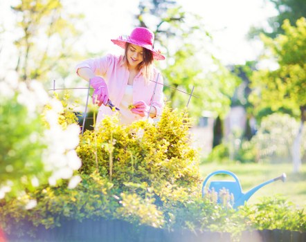 Tree pruning for aesthetics