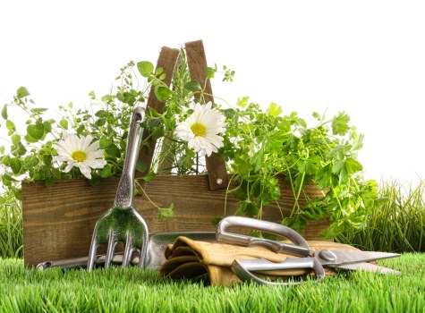 Sharp mower blades cutting grass efficiently