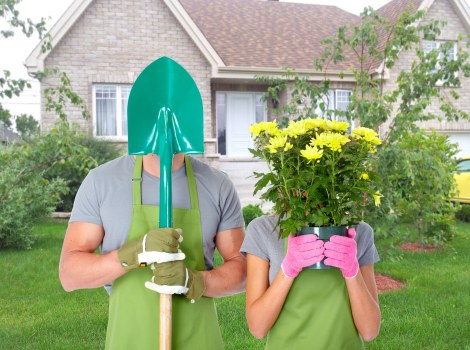 Professional garden maintenance service in West Ham