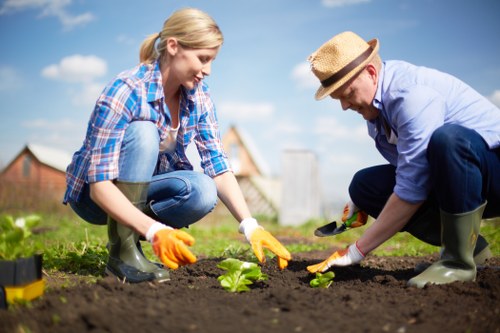 Planning a landscape garden in West Ham