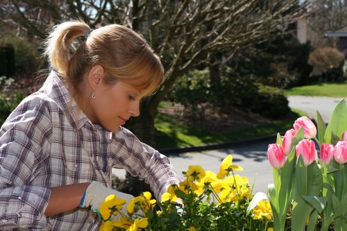 Eco-friendly lawn mowing practices in action